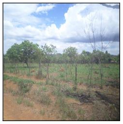 Vende-se em Luziania-GO  Terreno, 5000.00 de área do terreno.