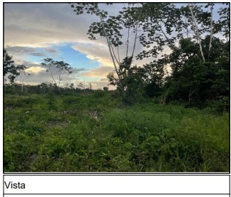 Vende-se em Capitao Poco-PA  Terreno, 8000.00 de área do terreno.