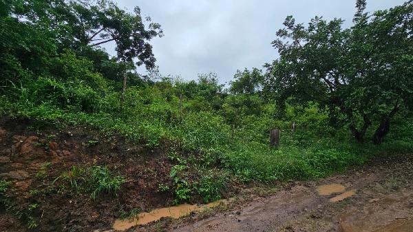 Vende-se em Lagoa Do Carro-PE  Terreno, 1150.00 de área do terreno.