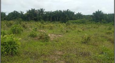 Vende-se em Viana-MA  Terreno, 31416.00 de área do terreno.