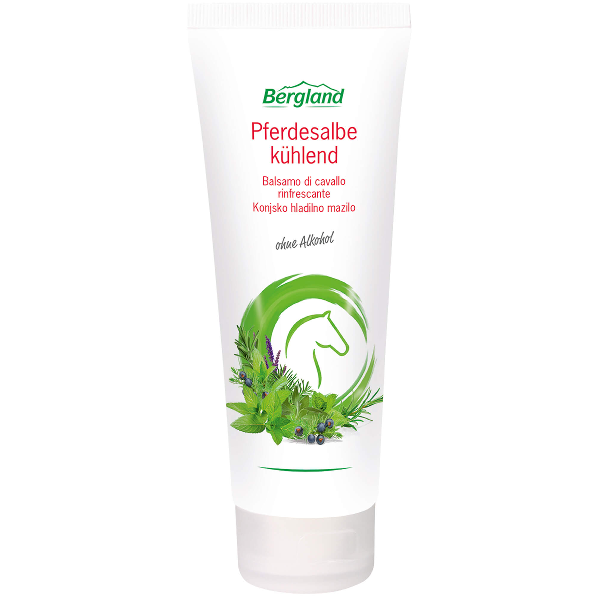 Bergland Pferdesalbe Kühlend Zur Pflege Der Beanspruchten Muskulatur, 100 Ml Salbe