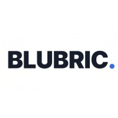 BLUBRIC logo