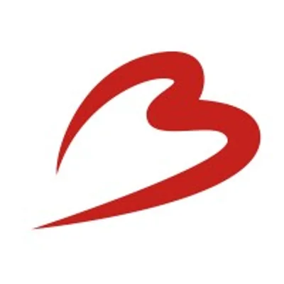Brussels Airport logo
