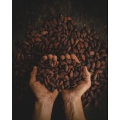 CoffeeBeans logo