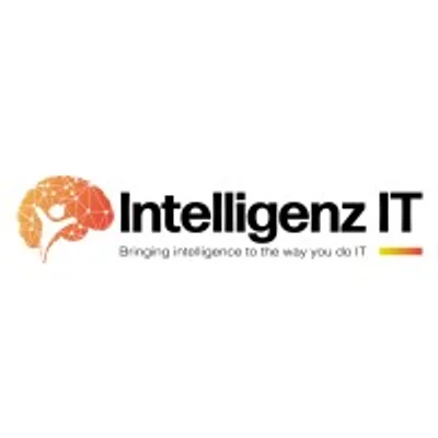 Intelligenz IT logo