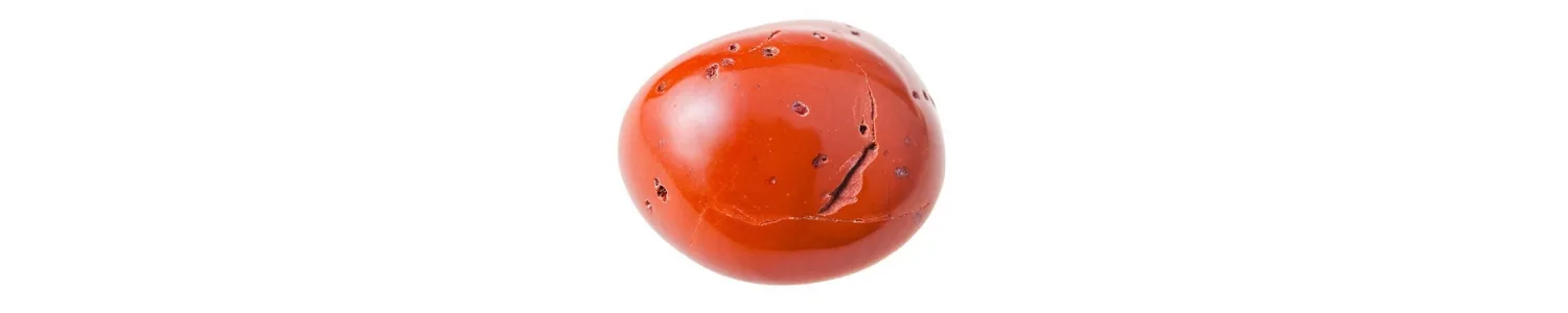 عکس سنگ مرجان
