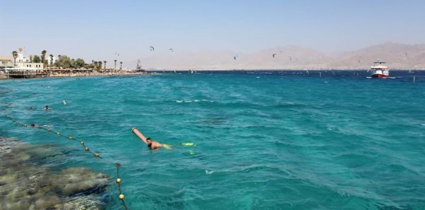 Erfahrungsbericht Freiwilligenarbeit Israel Korallenriff Eilat