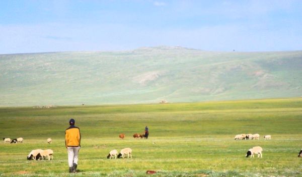 Meikes Erfahrungsbericht - Freiwilligenarbeit in der Mongolei