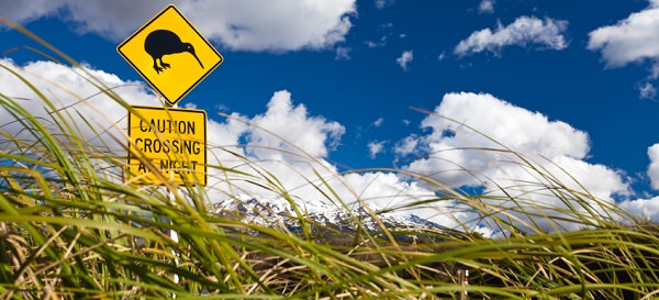 Kiwi crossing, Au-Pair in Neuseeland