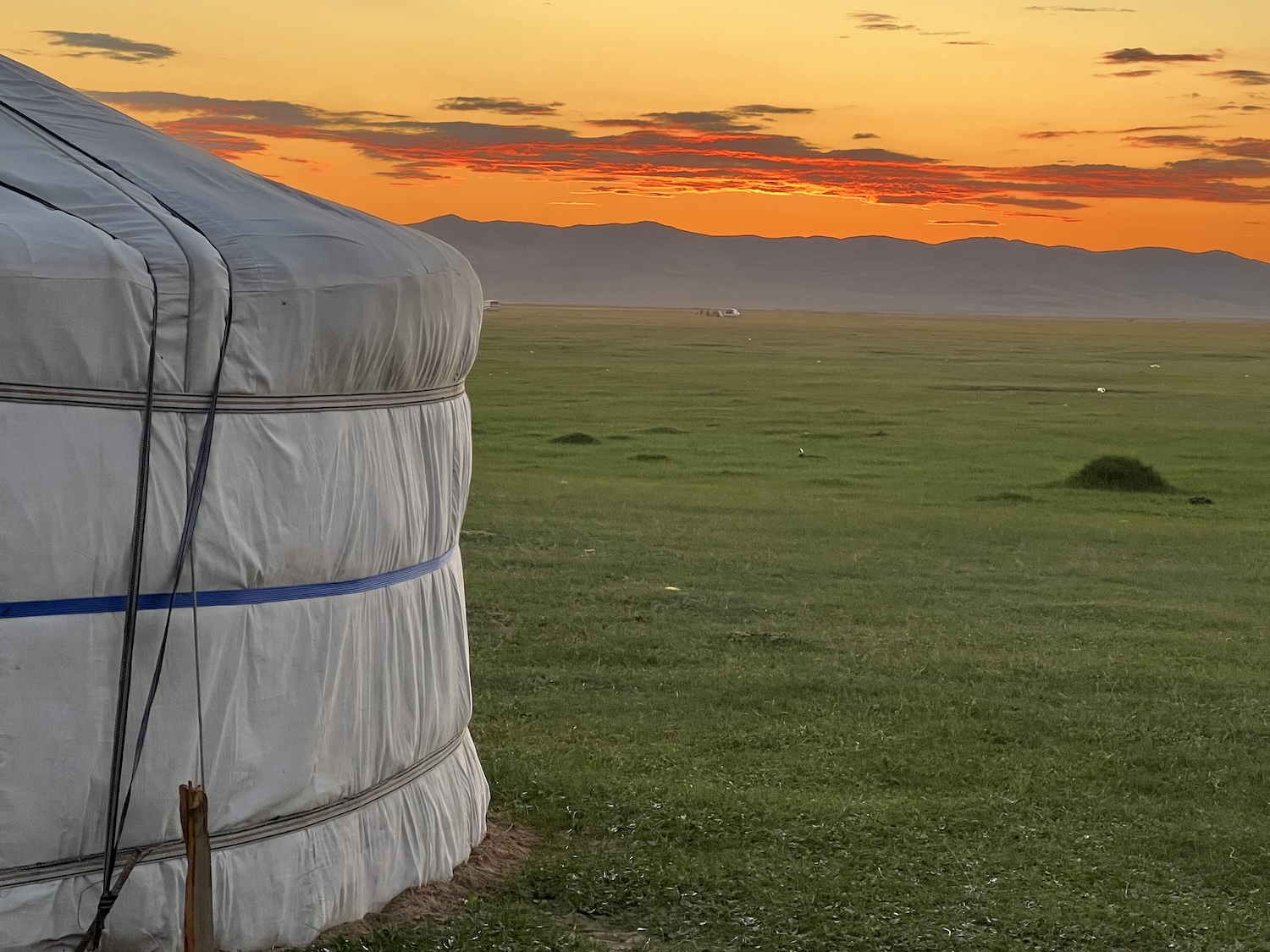 Besuch bei unserer Partnerorganisation in der Mongolei