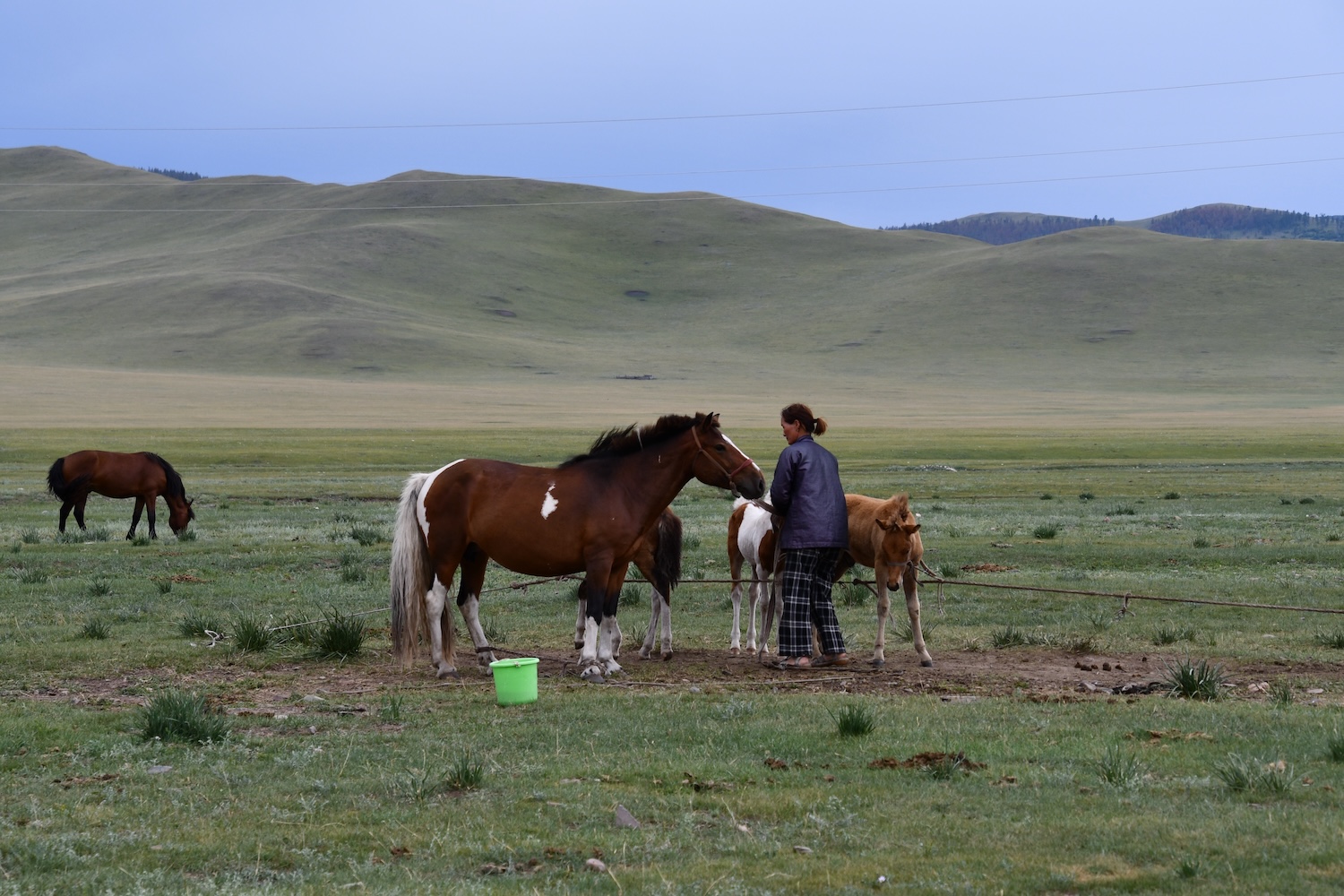 Besuch bei unserer Partnerorganisation in der Mongolei