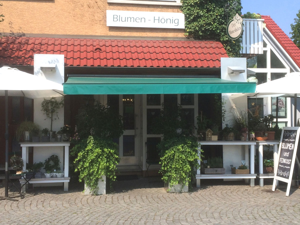Blumen Hönig