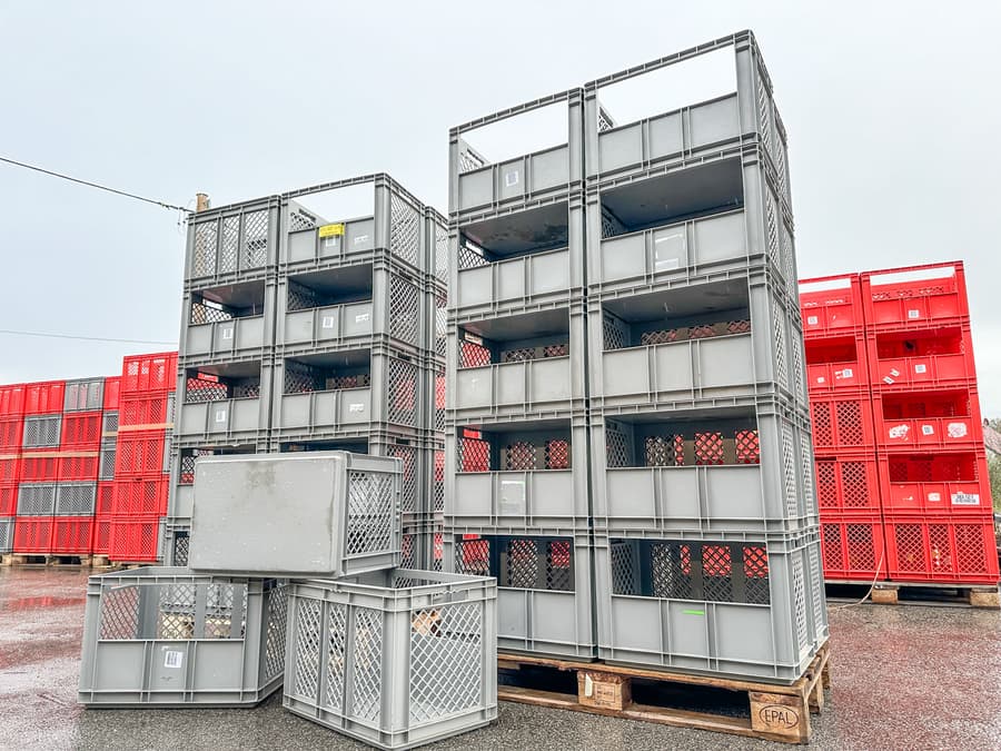 20 Kommissionierkisten Schäfer EF 6421 grau, stapelbar