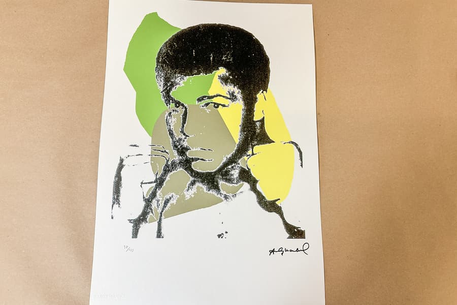 Lithografie nach Andy Warhol, limitiert