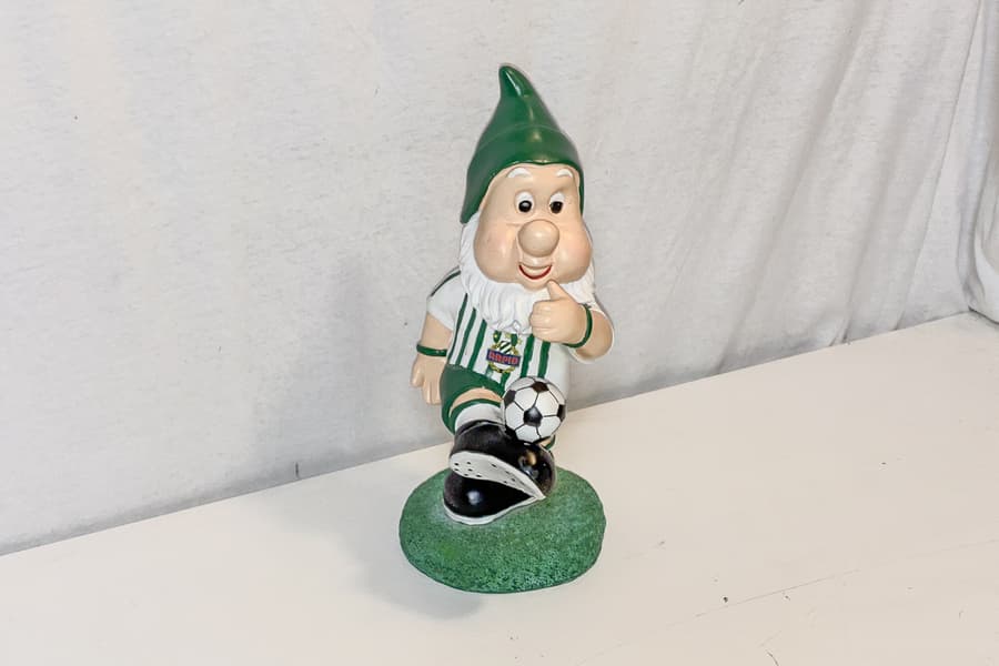 Posten Fanartikel Rapid