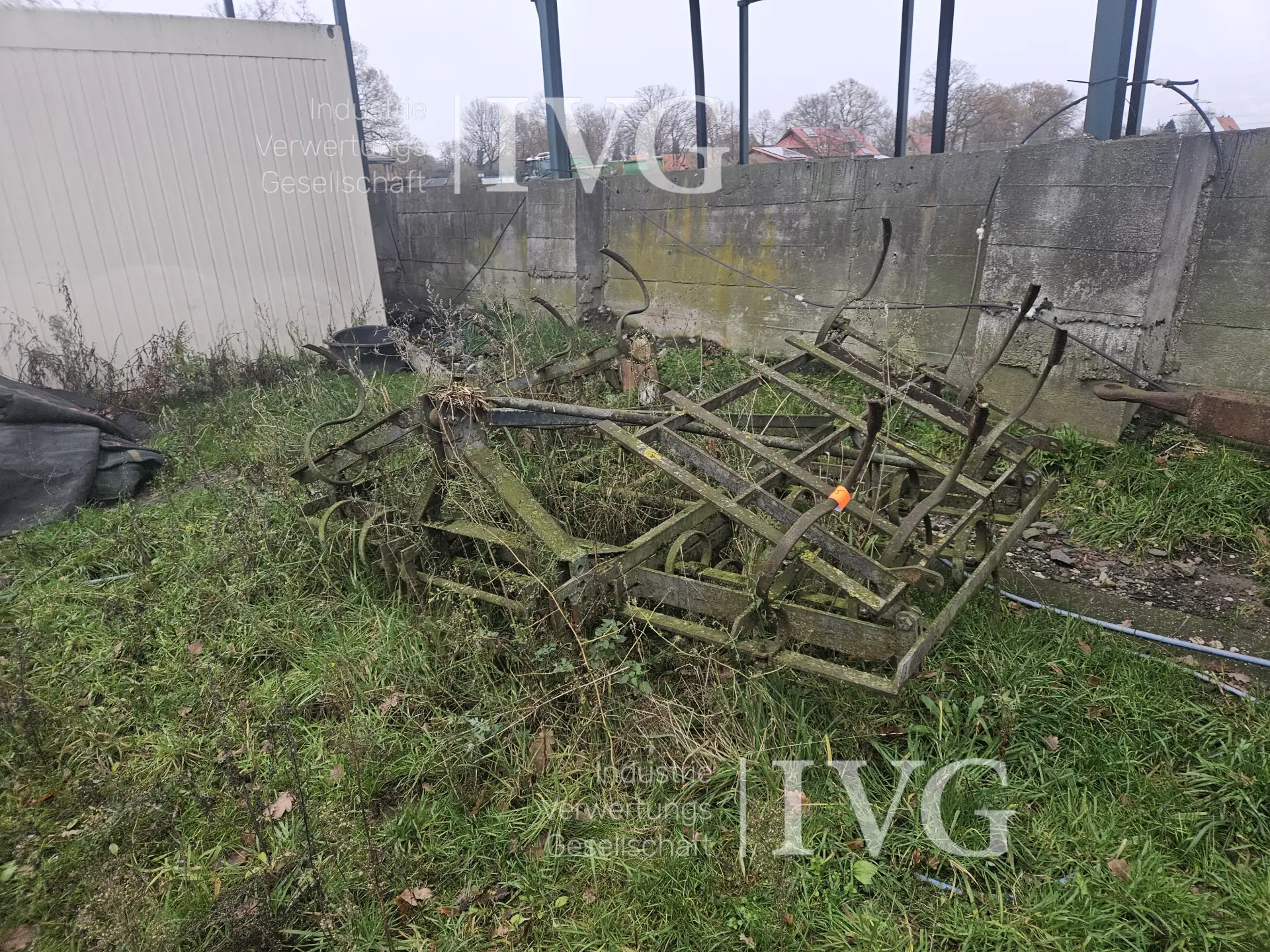 Federzinkengrubber (blau)