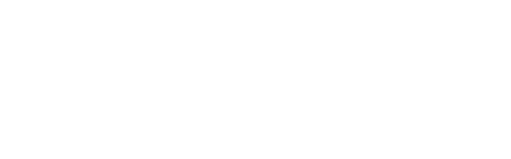 Avto Snoj Logo partnerja