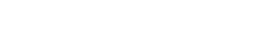 Feydom Logo partnerja