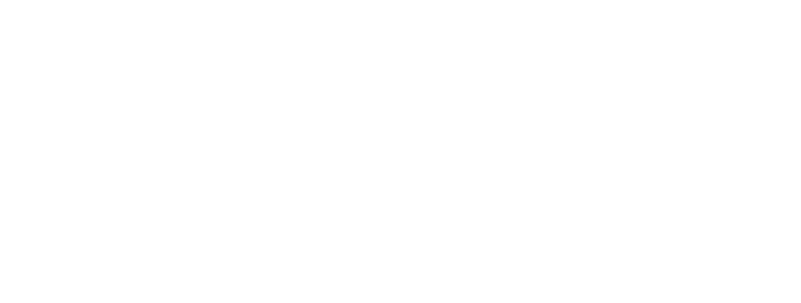 Vidic Center Logo partnerja