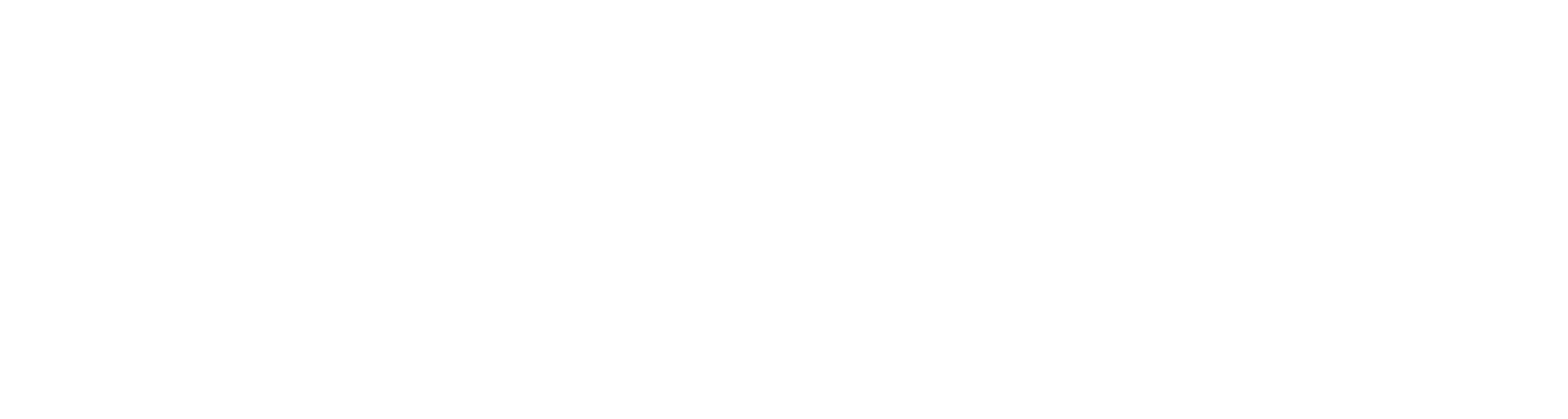 Avto center Radlje Logo partnerja