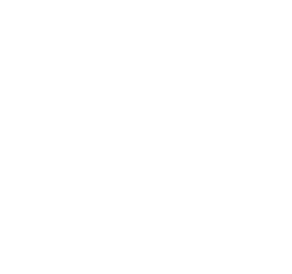 SS-Tim Logo partnerja