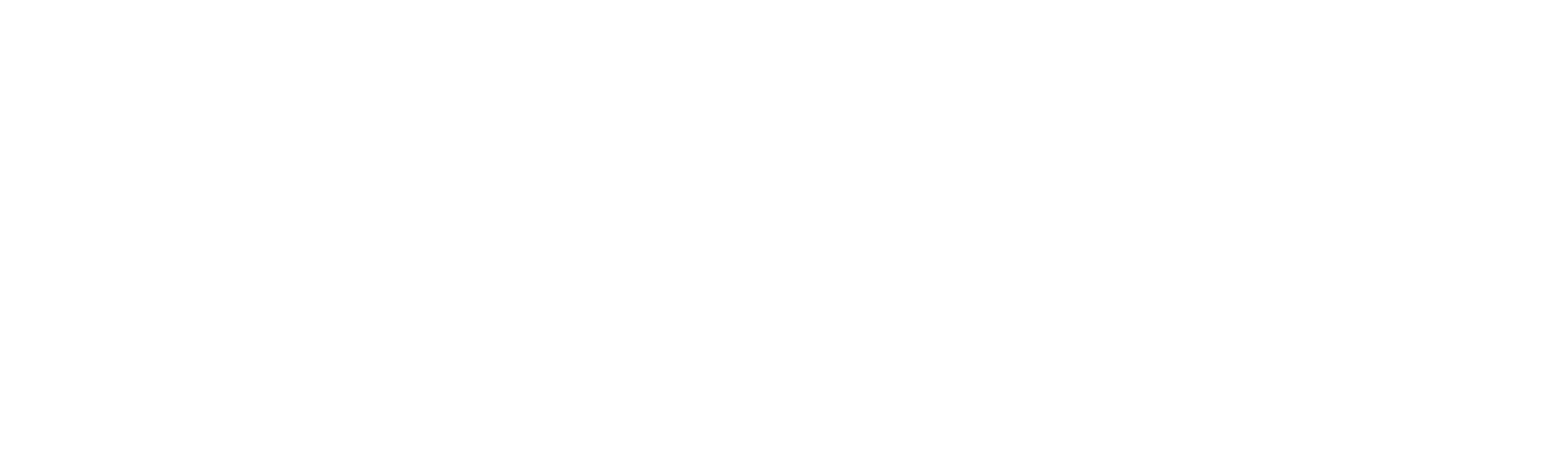Vibo Cars Logo partnerja