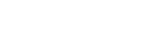 Robust Logo partnerja