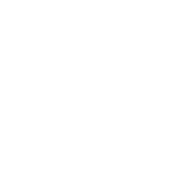 Kamen Celje Logo partnerja