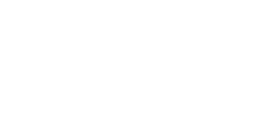 Adrenalin bike Logo partnerja