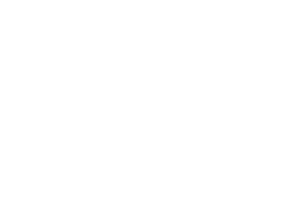 Vsegrad Novo Mesto Logo partnerja