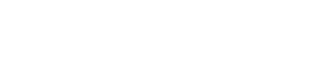 Alen Kojnik moto shop Logo partnerja