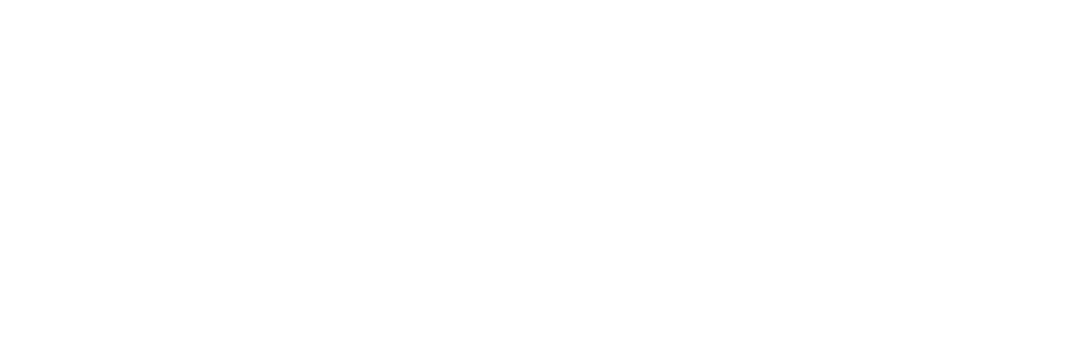 Bonus.si Logo partnerja