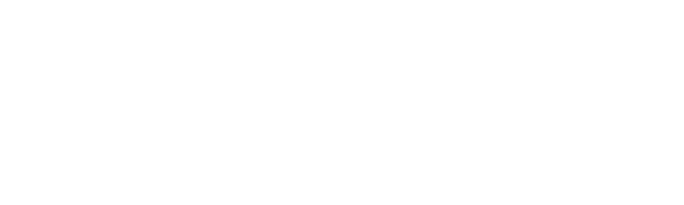Academia Logo partnerja