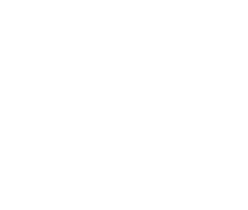 Kara Logo partnerja