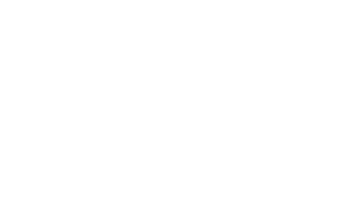 BMC Avtodeli Logo partnerja