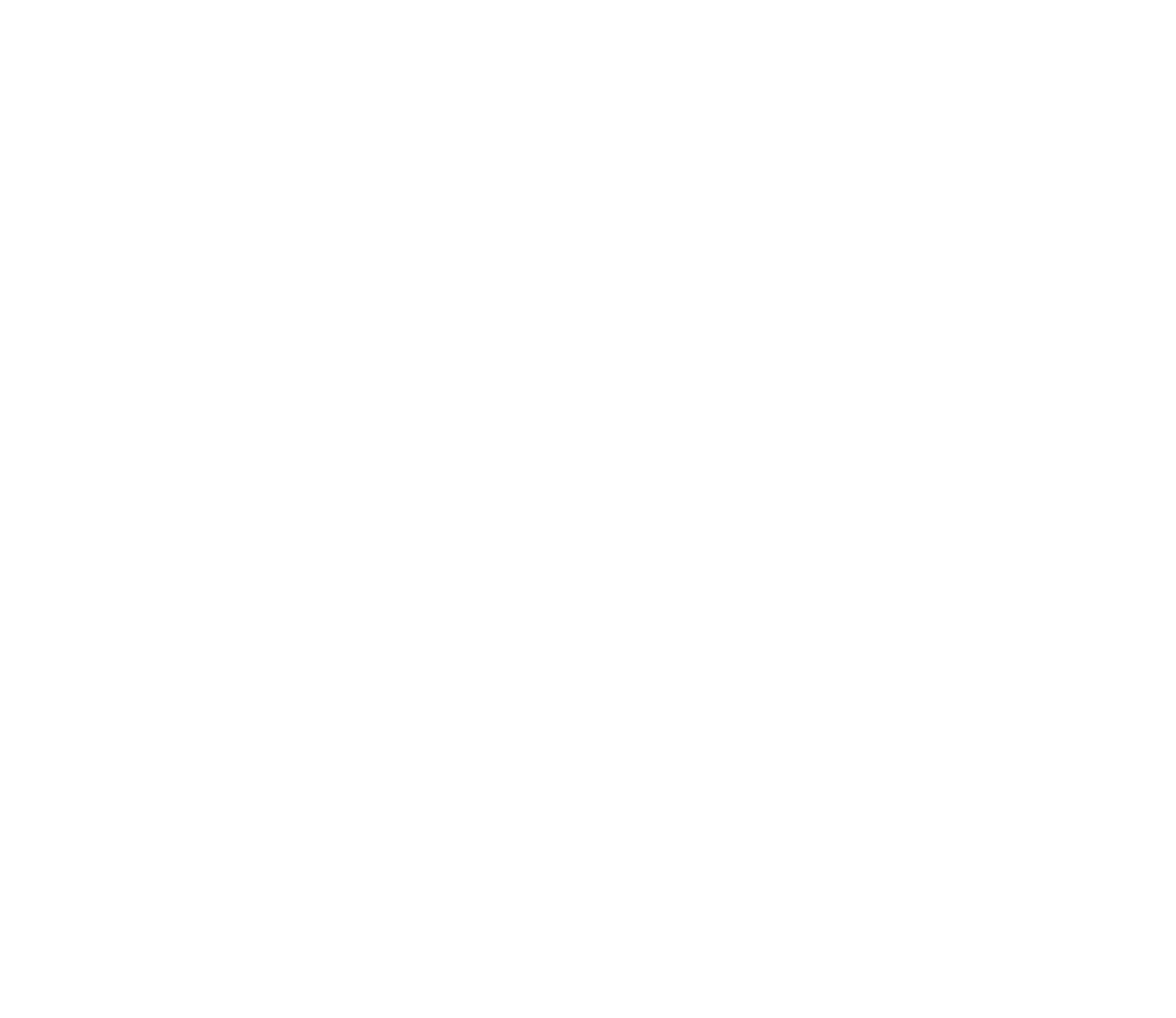 Lido Logo partnerja