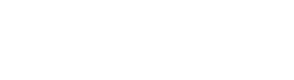 Condor Plus Bled Logo partnerja
