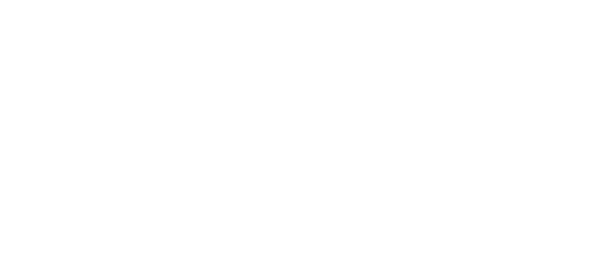 Veto Logo partnerja