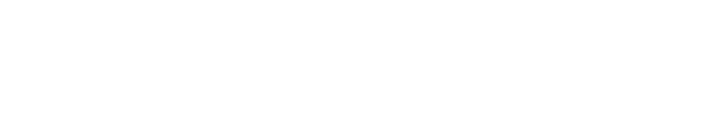 ERGOVISION Logo partnerja