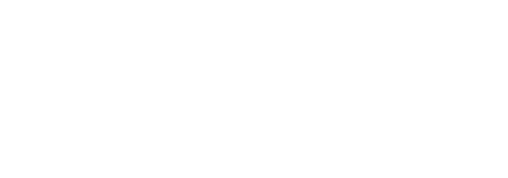 Colibri Metlika Logo partnerja