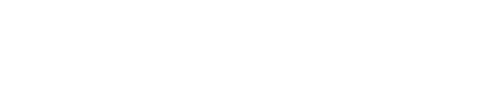 Duseti Logo partnerja