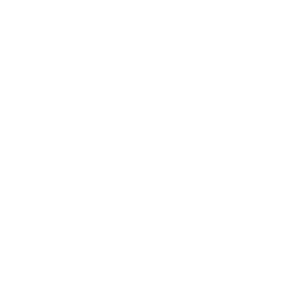 Silverstore Logo partnerja