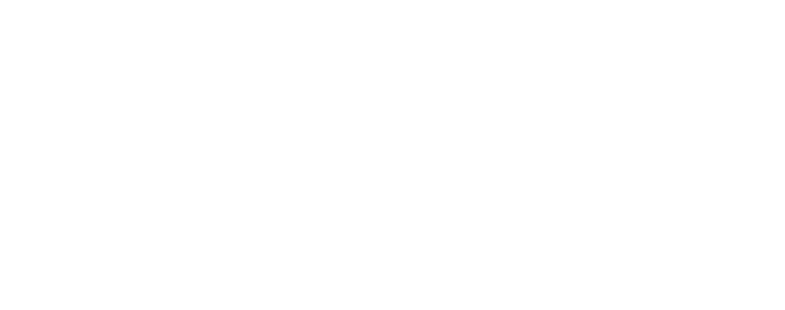 LEGO Store Slovenija Logo partnerja