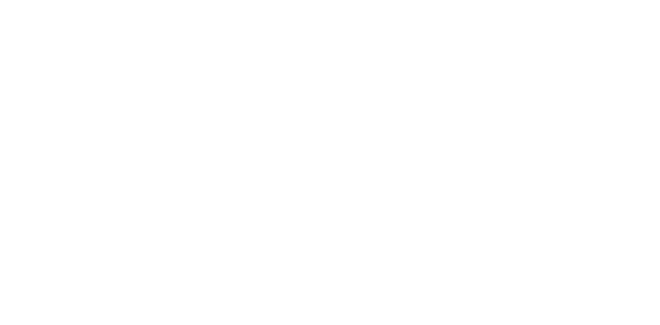 Besolar Logo partnerja
