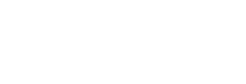 Brinca Logo partnerja