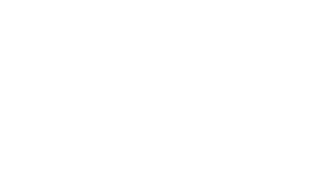 Evroelektron Logo partnerja