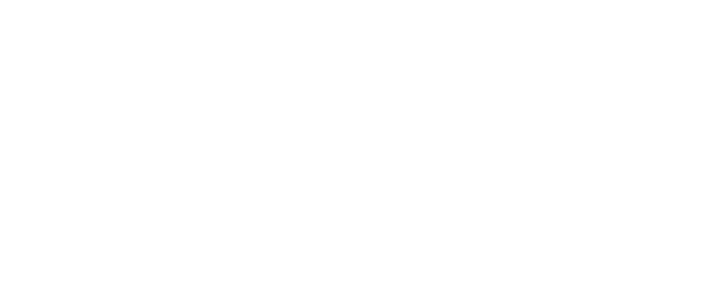 Setring Logo partnerja