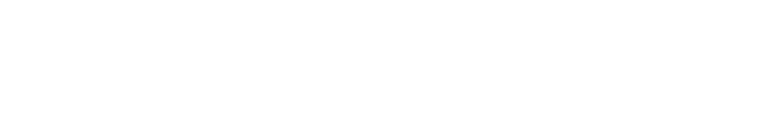 Mastermind akademija Logo partnerja
