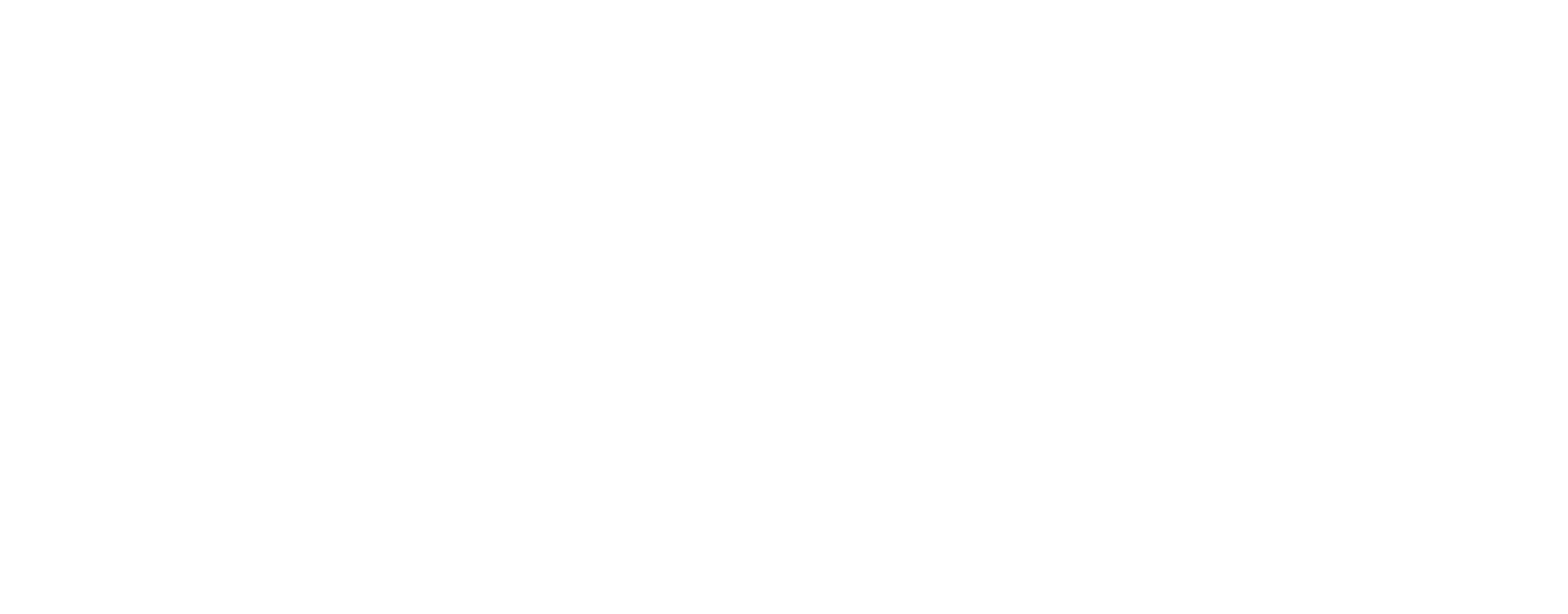 Leonema Logo partnerja