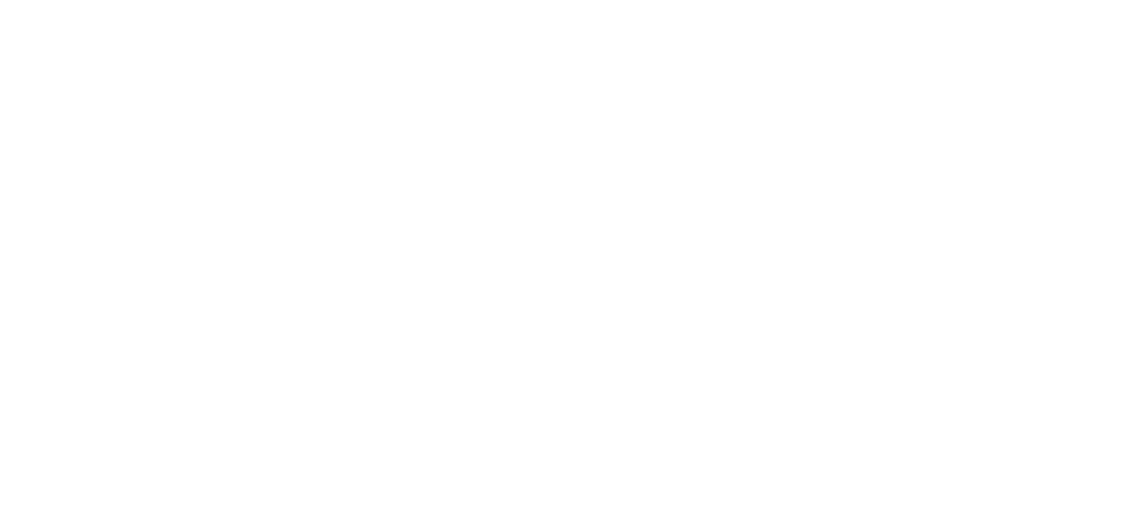 VEB Company Logo partnerja